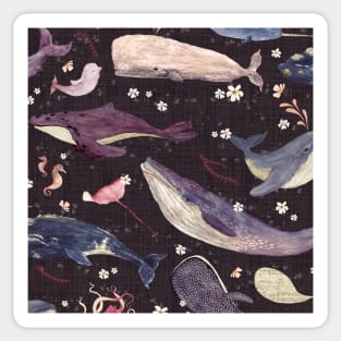 Whale song (purple) Sticker